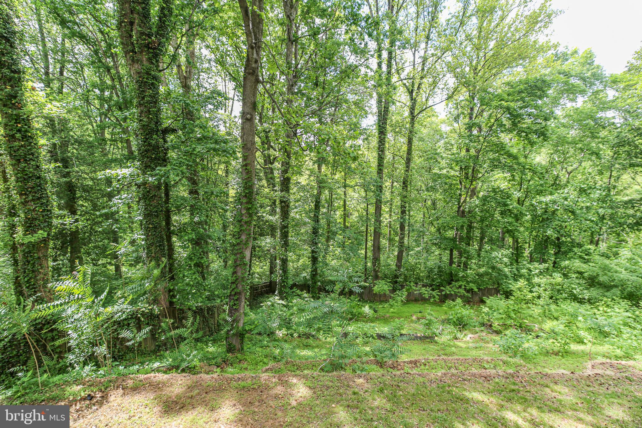 289 Sandy Ridge Road Fredericksburg, VA 22405 - Photo 34 of 37