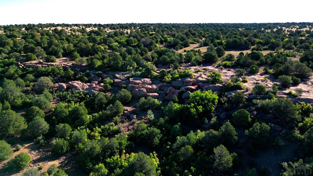 Tbd Bear Creek Road Walsenburg, CO 81089 - Photo 14 of 37