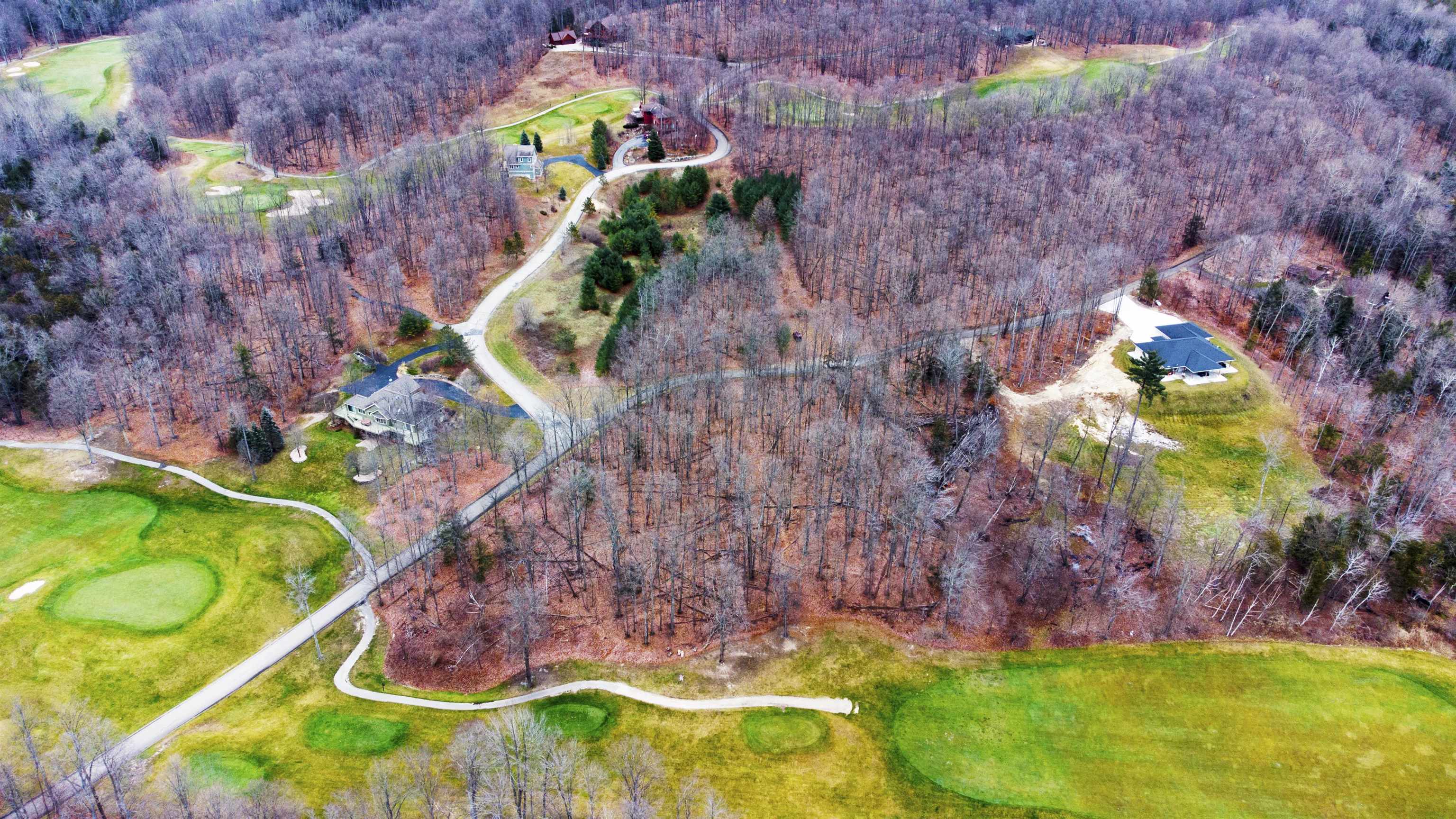 0 Walkers Way Road Bellaire, MI 49615 - Photo 6 of 30
