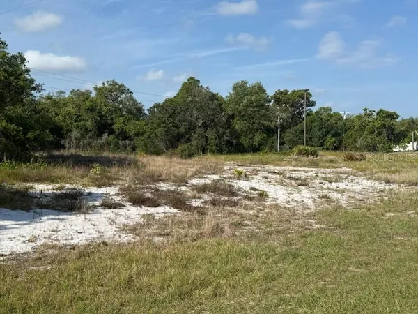 $39,900 | Cedarwood Dr Lake, Lake Wales, FL 33898