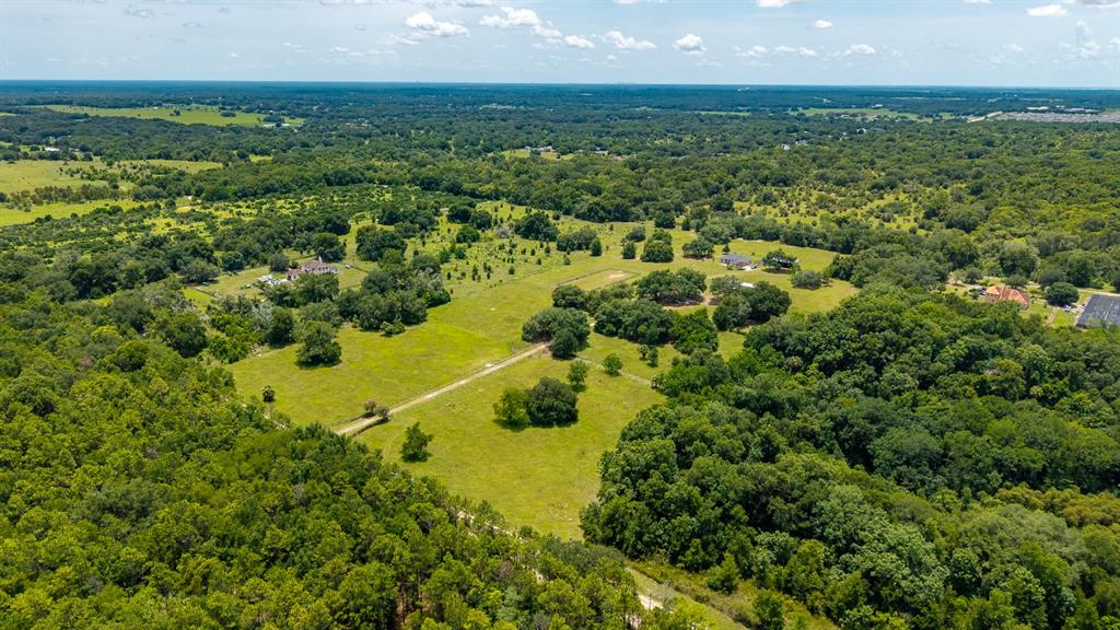 21341 Horse Ranch Road Mount Dora, FL 32757 - Photo 11 of 17
