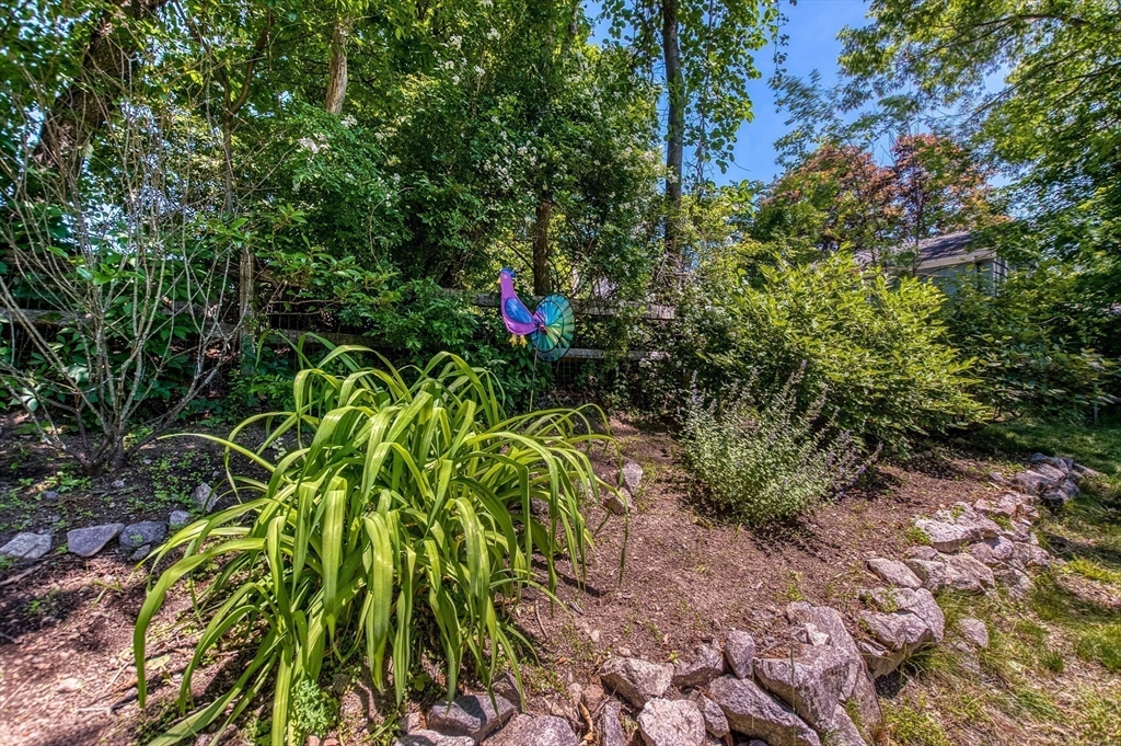 77 Leonard Street Dedham, MA 02026 - Photo 10 of 40