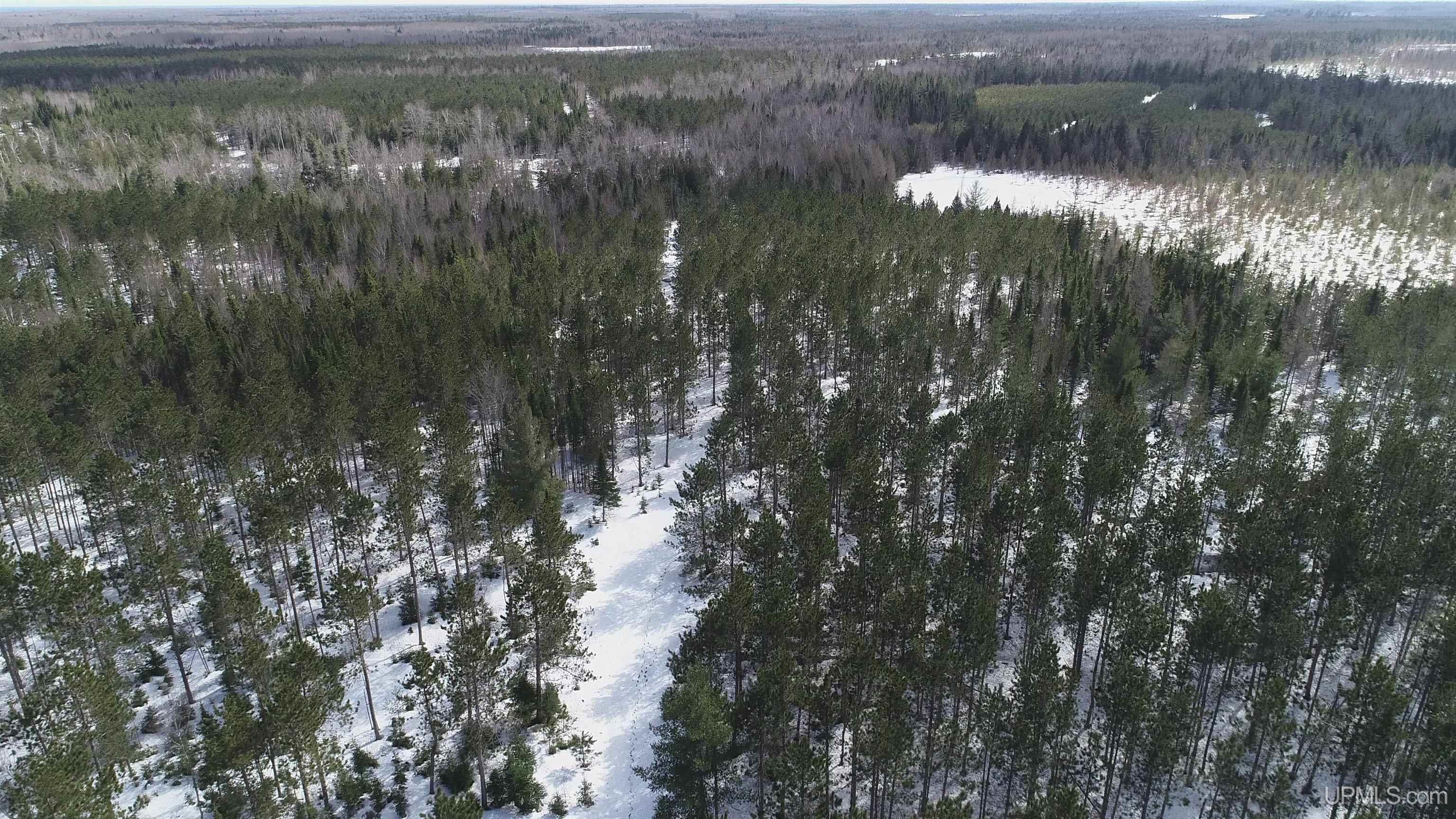 20-acres Off Flodin Road Manistique, MI 49854 - Photo 15 of 29