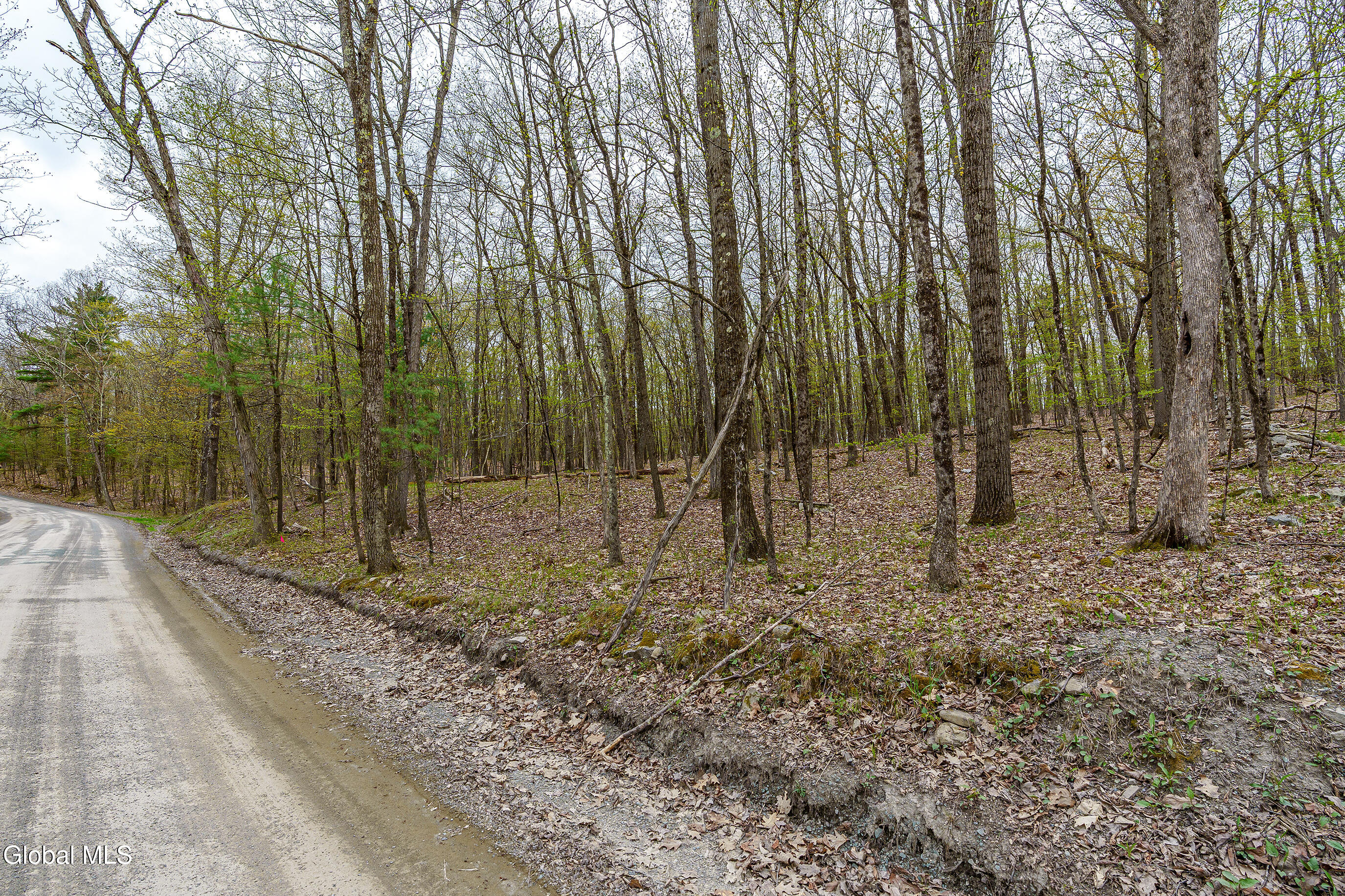 83 Maschodack Road Nassau, NY 12123 - Photo 20 of 26 044-Mashodack-Rd-Nassau-NY-12123