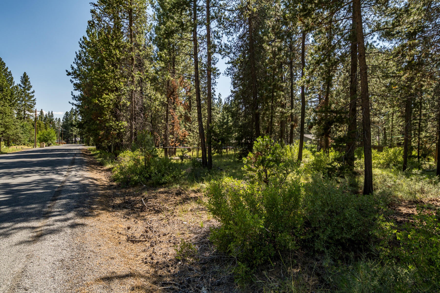 17176 Norwalk Road Bend, OR 97707 - Photo 3 of 10 JH5_2882