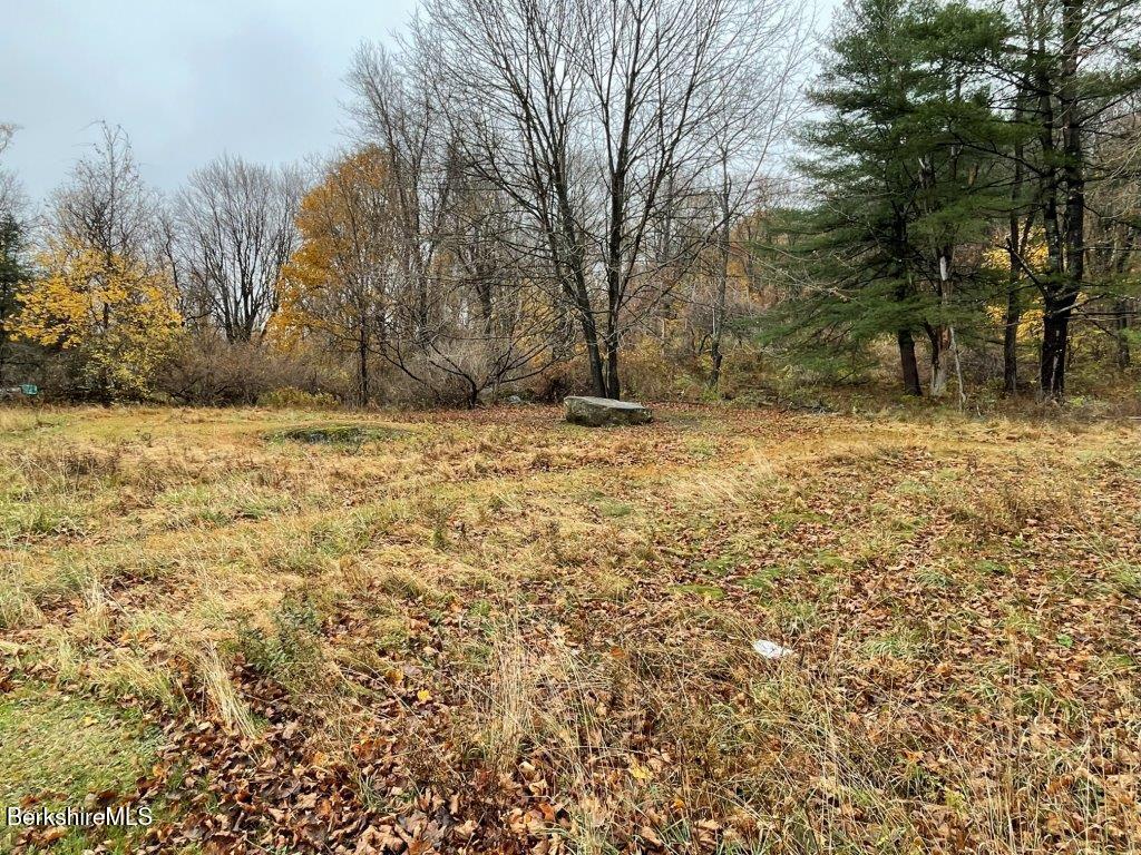 1320 Church Street North Adams, MA 01247 - Photo 31 of 33 a view of a yard with a tree