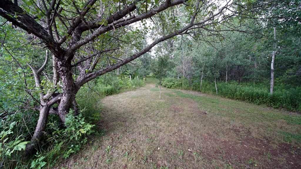 193 Laskey Road Houlton, ME 04730 - Photo 80 of 90 193-laskey-rd-ludlow-17