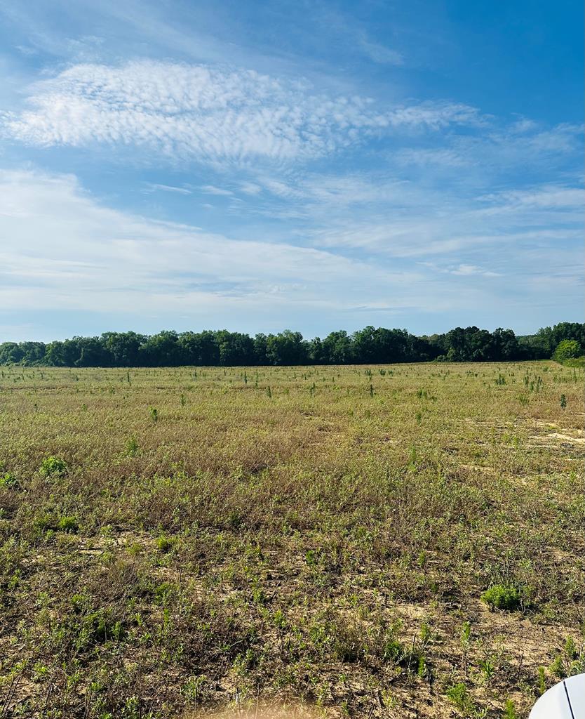 0 New Hinson Road Slocomb, AL 36375 - Photo 1 of 1