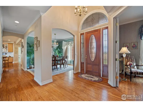 a view interior of the house and livingroom view
