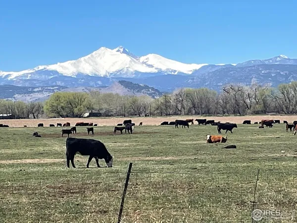 a view of swimming pool and mountain view