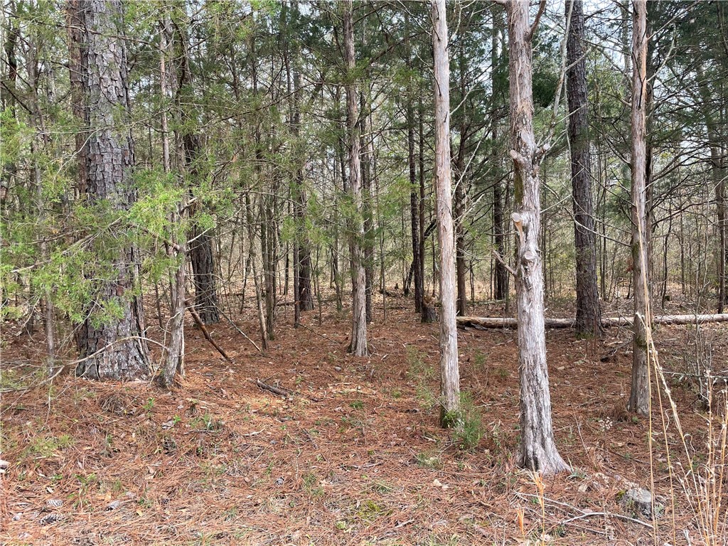 0 Shaw Road Iva, SC 29655 - Photo 5 of 7