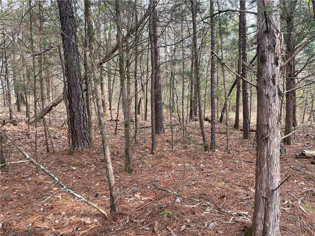 0 Shaw Road Iva, SC 29655 - Photo 6 of 7