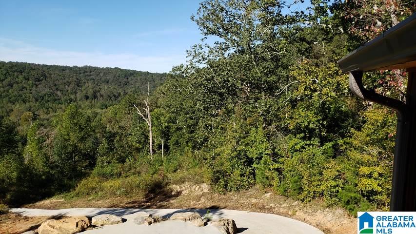 115 Tidmore Lane Oneonta, AL 35121 - Photo 21 of 32