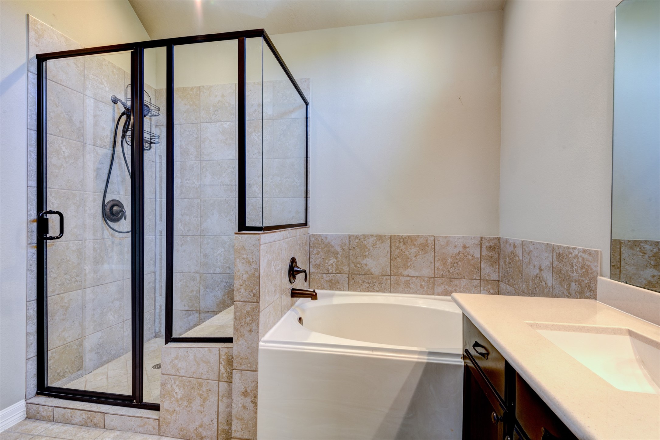 25151 Alina Lane Spring, TX 77386 - Photo 14 of 20