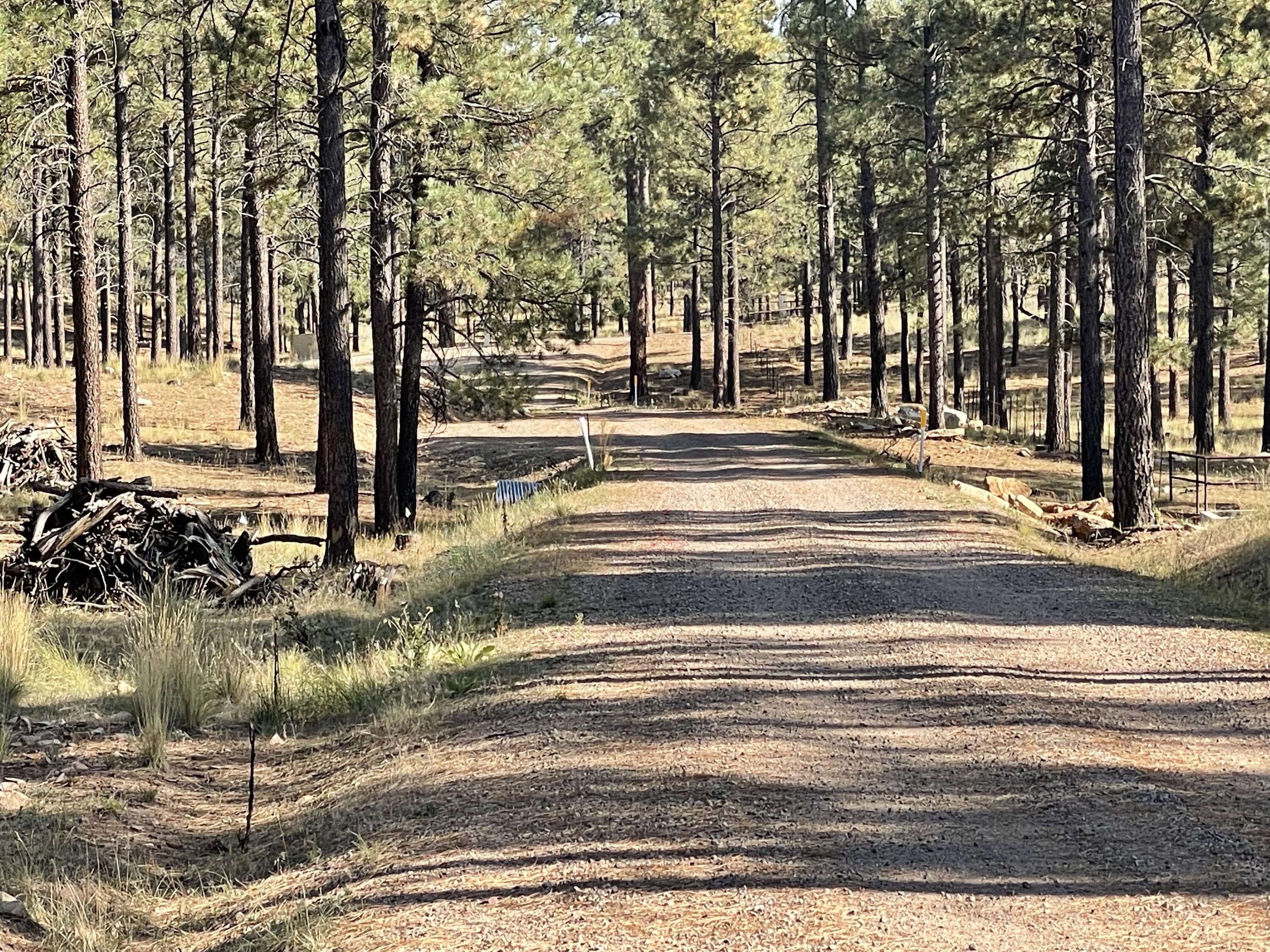 7337 Forest Service 122 Road Happy Jack, AZ 86024 - Photo 33 of 33