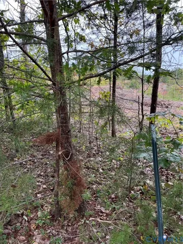 a view of outdoor space