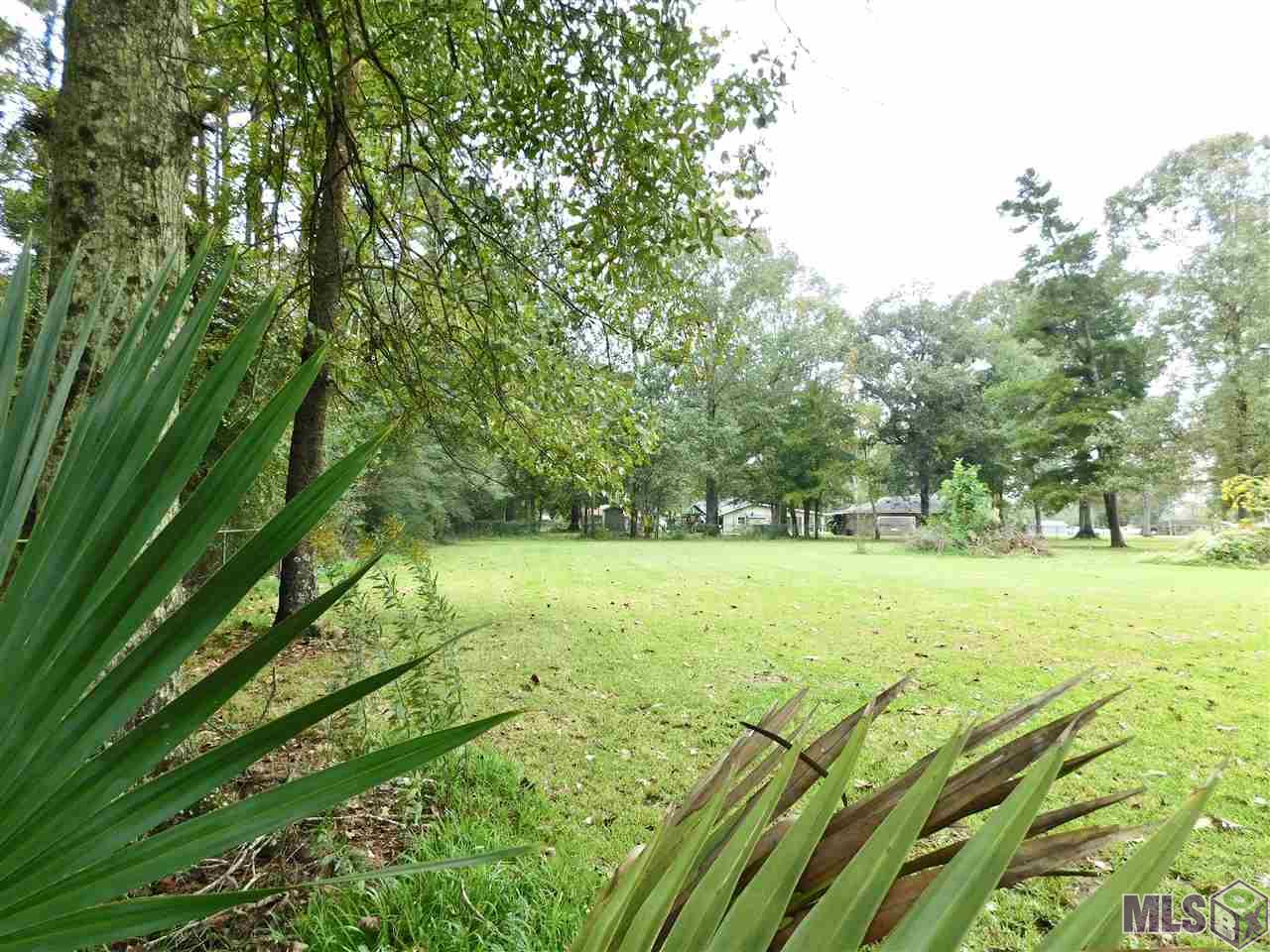 14517 George Rouyea Road Gonzales, LA 70737 - Photo 2 of 4 Gallery Image 2