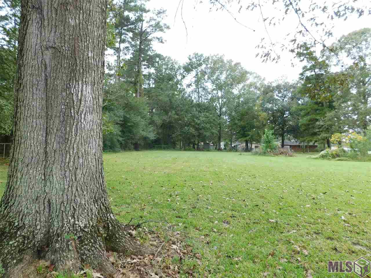 14517 George Rouyea Road Gonzales, LA 70737 - Photo 4 of 4 Gallery Image 4