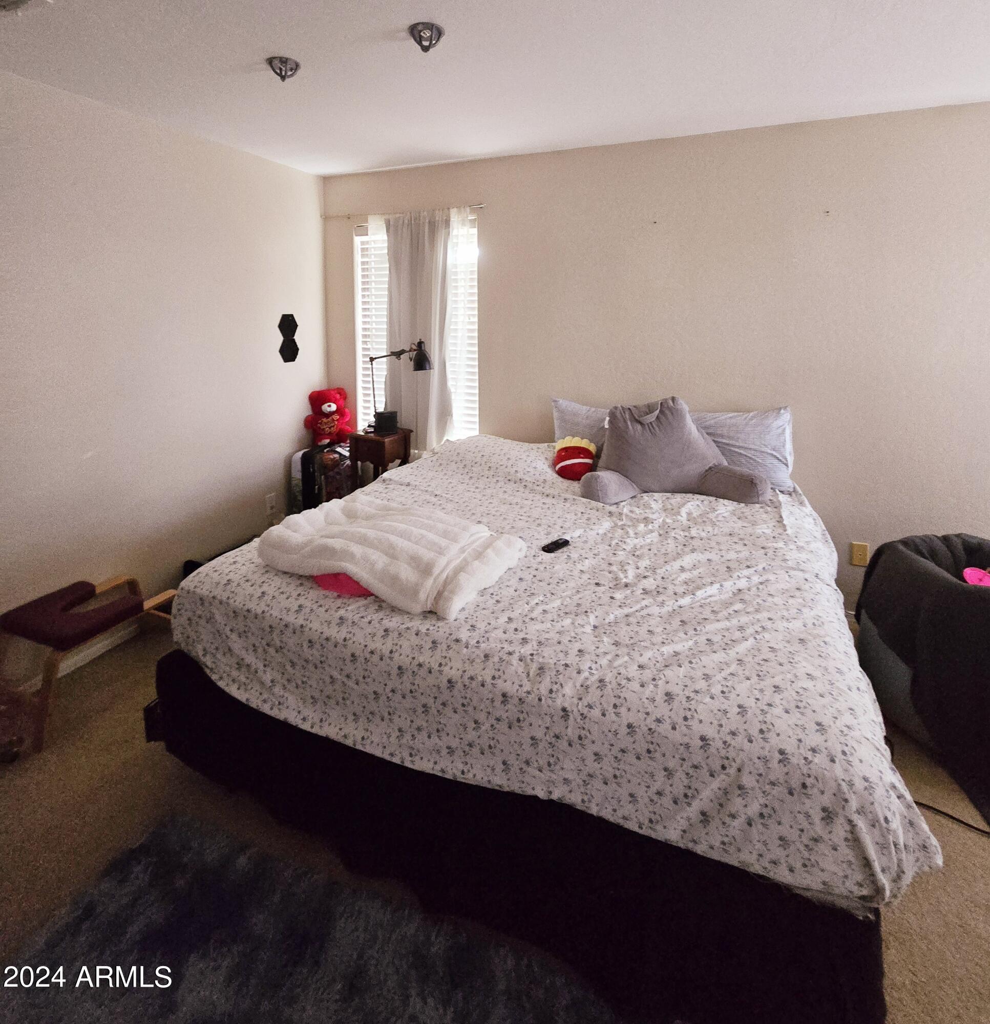 14262 West Calavar Road Surprise, AZ 85379 - Photo 15 of 20 1000000767