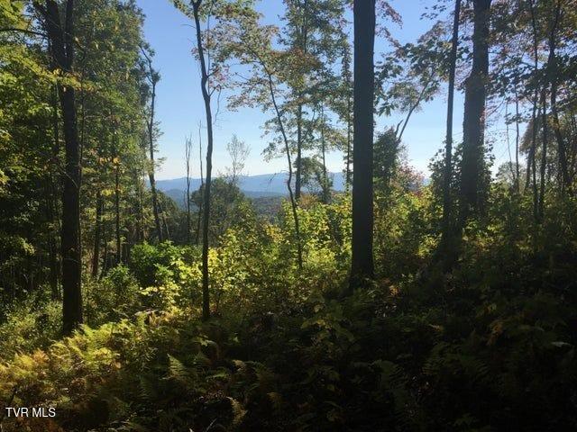 0 Heaton Branch Road Butler, TN 37640 - Photo 11 of 16 10 Heaton Branch