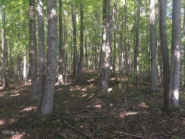 0 Heaton Branch Road Butler, TN 37640 - Photo 12 of 16 11 Heaton Branch