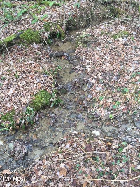 0 Heaton Branch Road Butler, TN 37640 - Photo 13 of 16 12 Heaton Branch