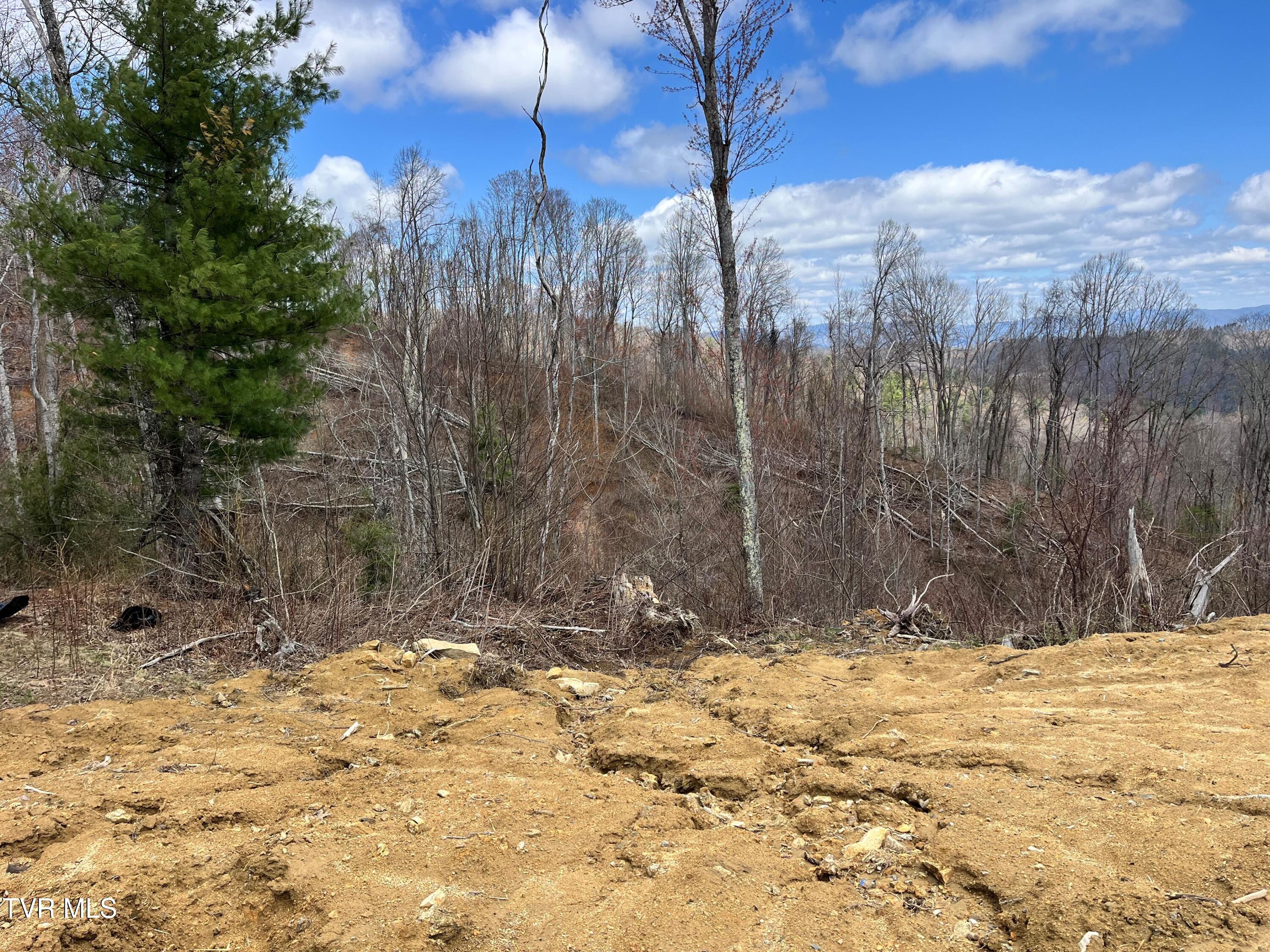 0 Heaton Branch Road Butler, TN 37640 - Photo 14 of 16 15 Heaton Branch