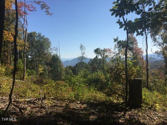 0 Heaton Branch Road Butler, TN 37640 - Photo 2 of 16 13 Heaton Branch