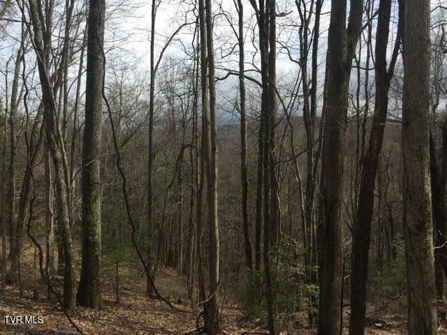 0 Heaton Branch Road Butler, TN 37640 - Photo 4 of 16 3 Heaton Branch