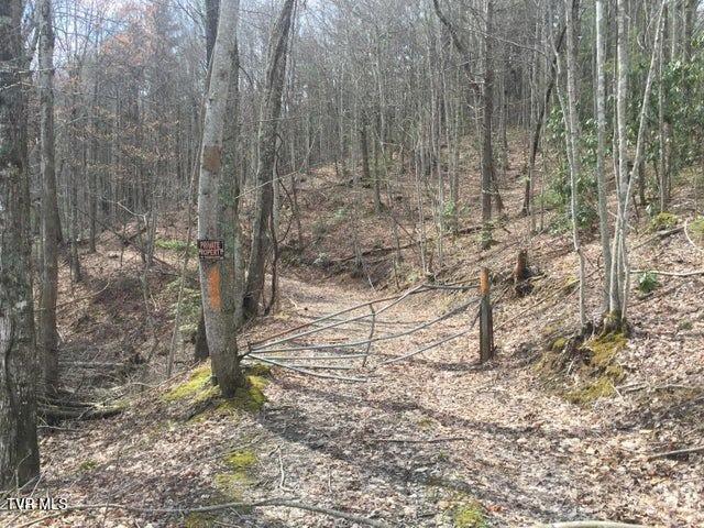 0 Heaton Branch Road Butler, TN 37640 - Photo 5 of 16 4 Heaton Branch