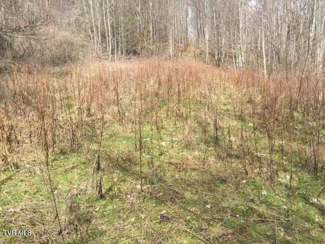 0 Heaton Branch Road Butler, TN 37640 - Photo 6 of 16 5 Heaton Branch