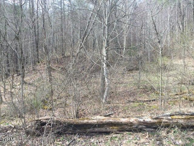 0 Heaton Branch Road Butler, TN 37640 - Photo 7 of 16 6 Heaton Branch