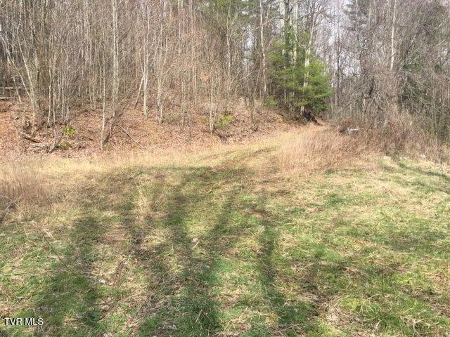 0 Heaton Branch Road Butler, TN 37640 - Photo 8 of 16 7 Heaton Branch