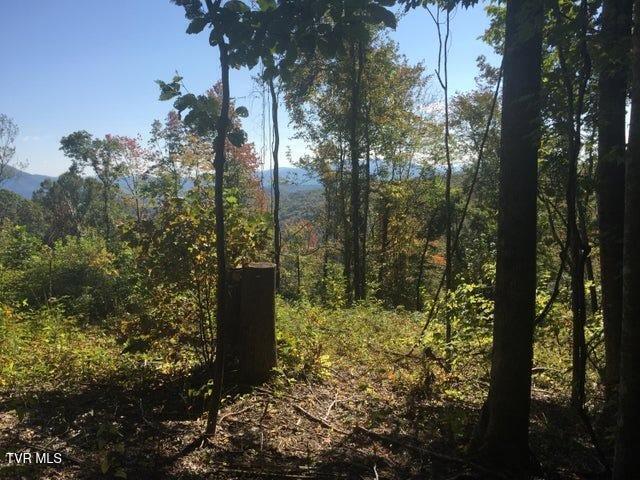 0 Heaton Branch Road Butler, TN 37640 - Photo 9 of 16 8 Heaton Branch