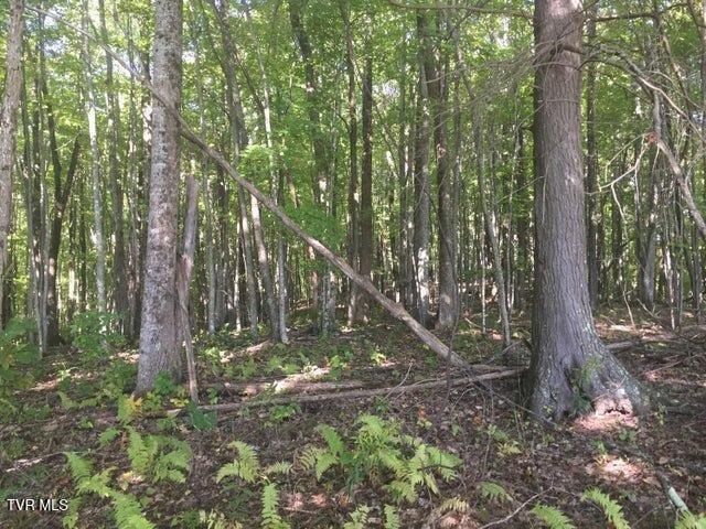 0 Heaton Branch Road Butler, TN 37640 - Photo 10 of 16 9 Heaton Branch