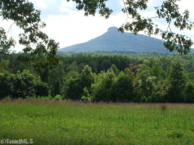20.34 High Bridge Road Pinnacle, NC 27043 - Photo 1 of 4 View.