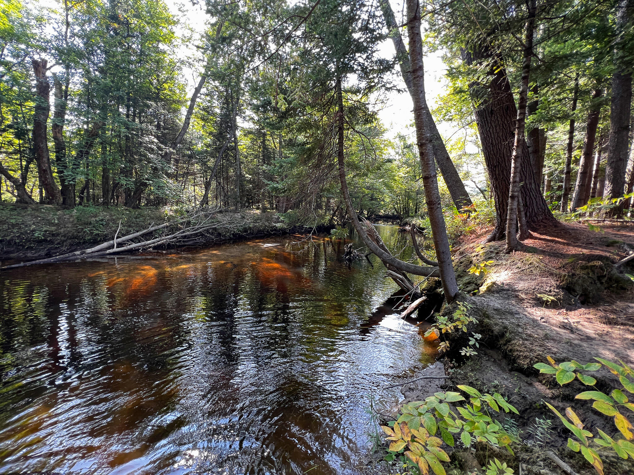 114 Dickvale Road Peru, ME 04290 - Photo 24 of 31 IMG_1275