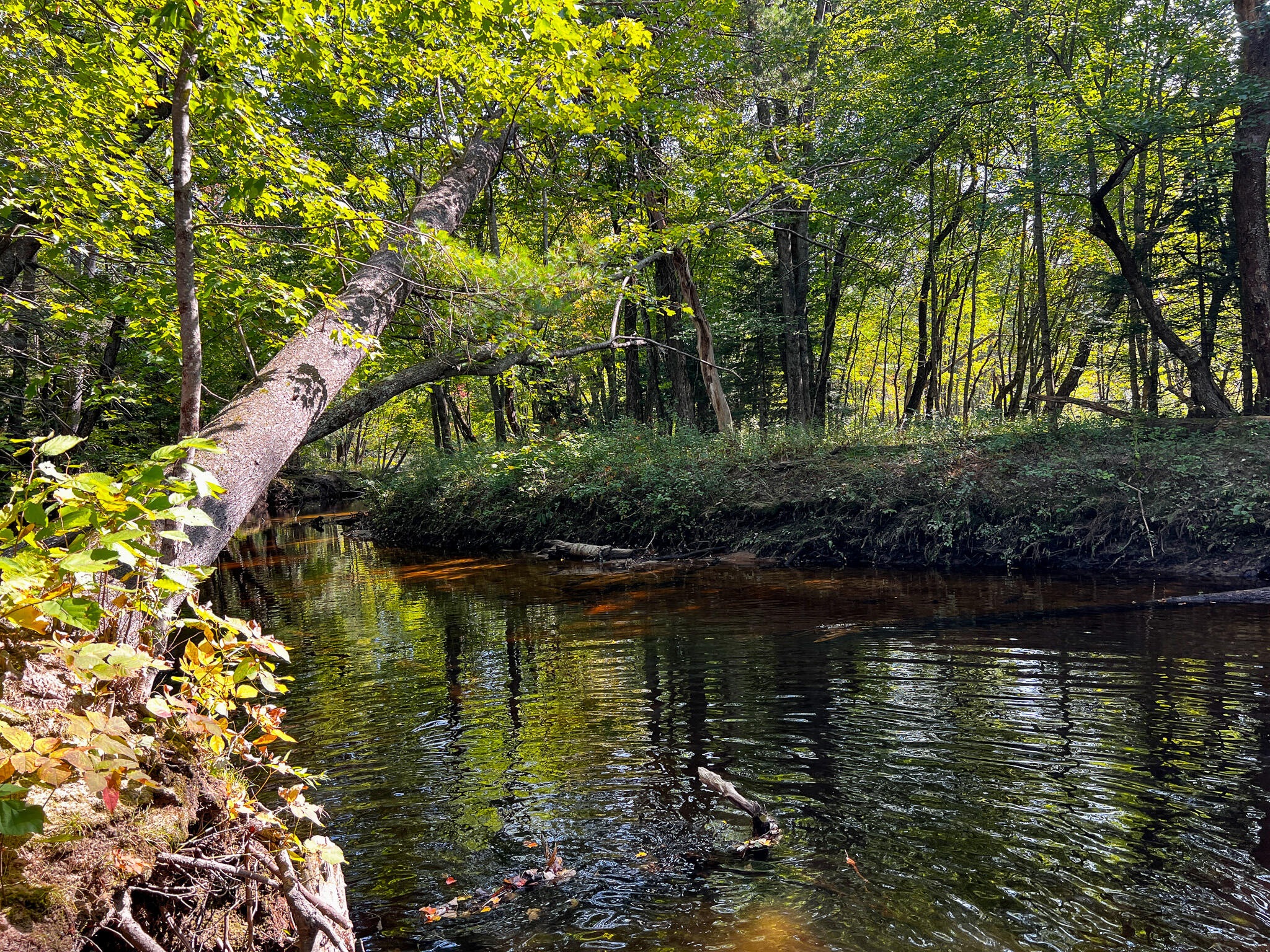 114 Dickvale Road Peru, ME 04290 - Photo 25 of 31 IMG_1276