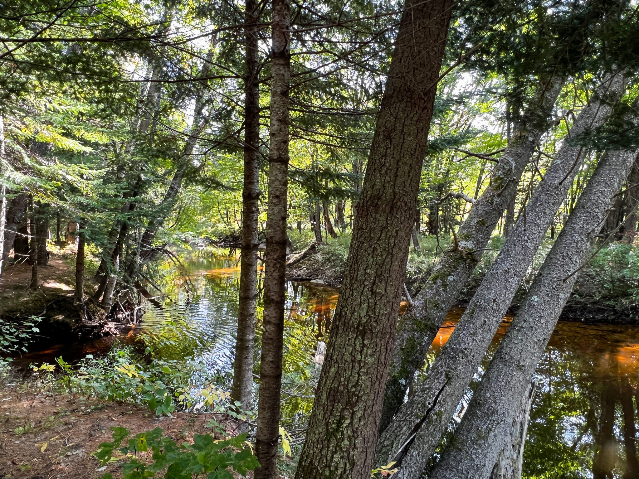 114 Dickvale Road Peru, ME 04290 - Photo 26 of 31 IMG_1278