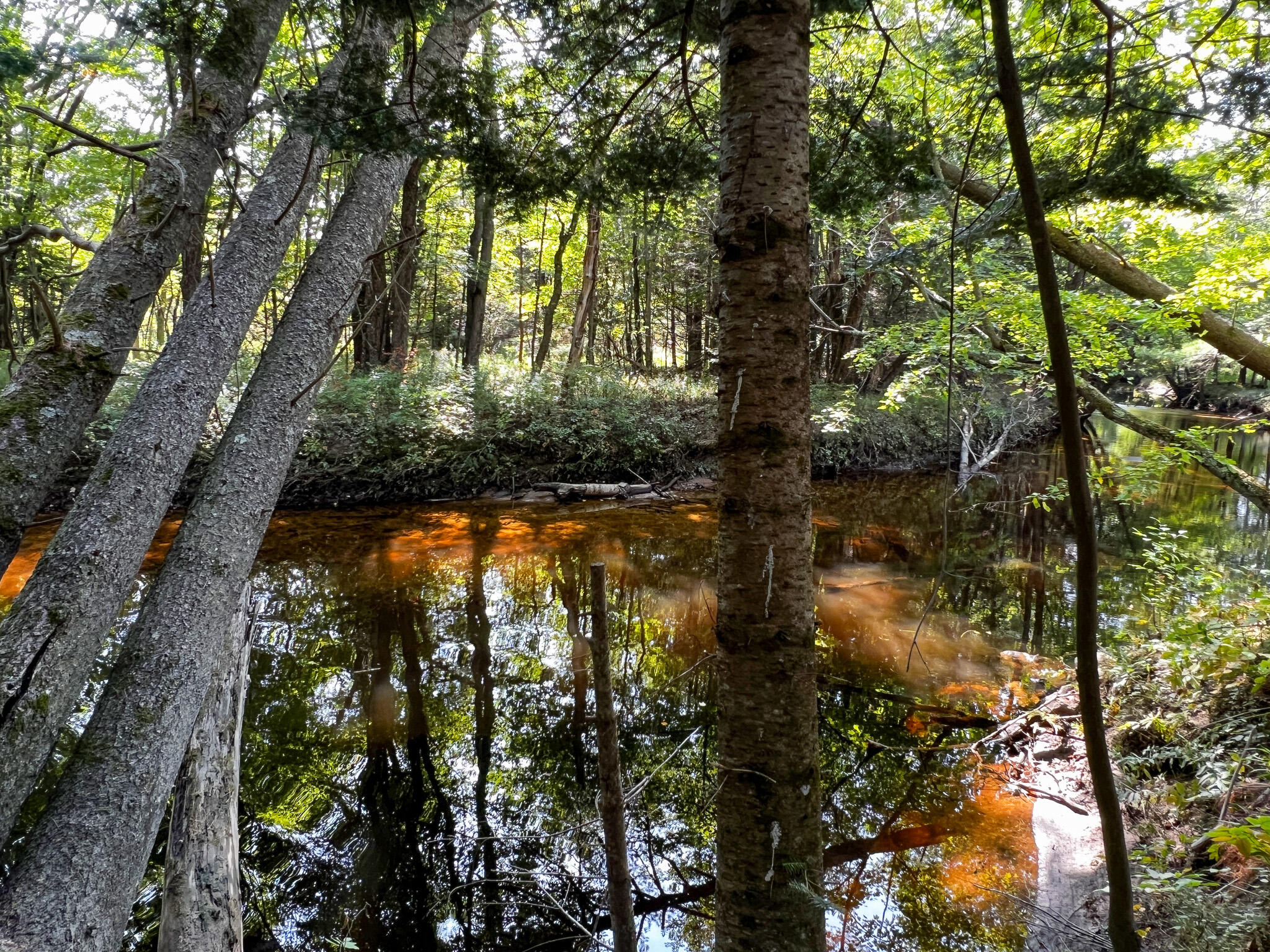 114 Dickvale Road Peru, ME 04290 - Photo 27 of 31 IMG_1279