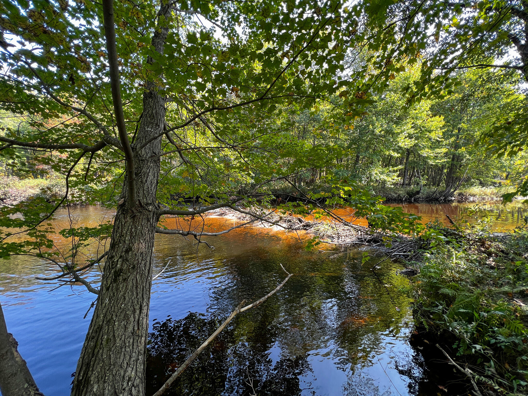 114 Dickvale Road Peru, ME 04290 - Photo 29 of 31 IMG_1281