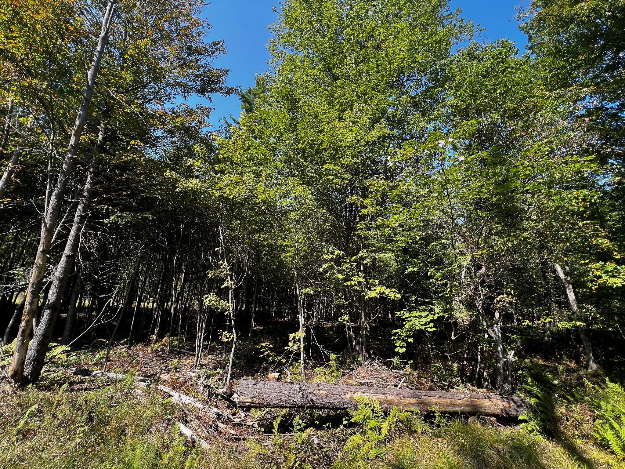 114 Dickvale Road Peru, ME 04290 - Photo 30 of 31 IMG_1282