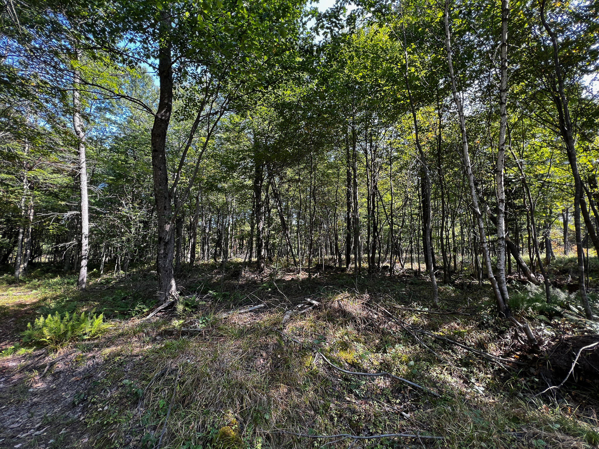 114 Dickvale Road Peru, ME 04290 - Photo 31 of 31 IMG_1283