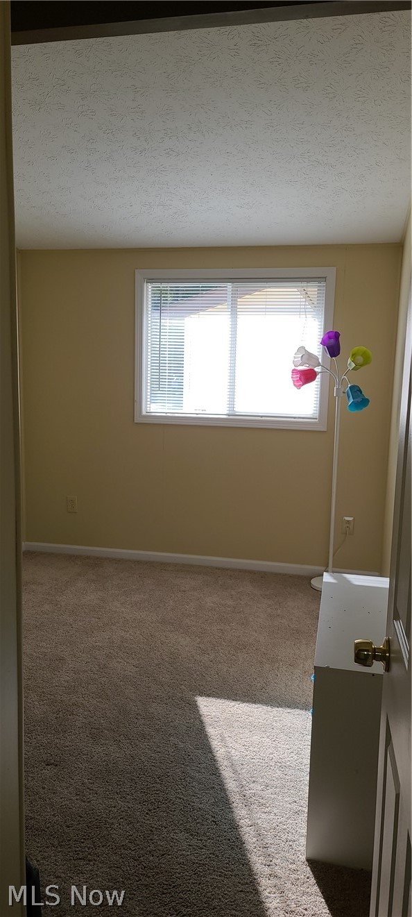 802 Rome Rock Creek Road Rome, OH 44085 - Photo 23 of 35