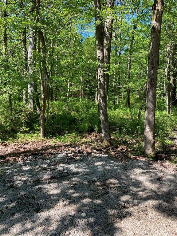 959 Laurel Summit Road Boswell, PA 15531 - Photo 5 of 16 Gallery Image 5