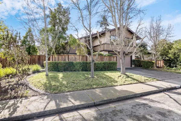 a view of a yard with plants