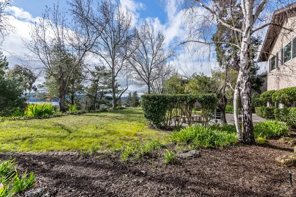 a view of a backyard