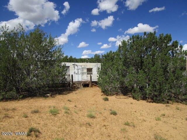 65 Co Road Concho, AZ 85924 - Photo 7 of 28 Gallery Image 7