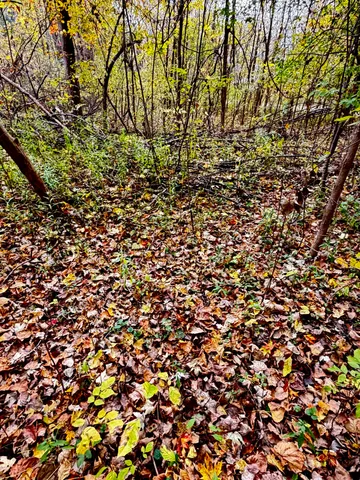 $9,800 | Lot 302 Hilcrest/helen Drive, Silverwood, MI 48760