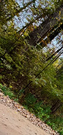 $9,800 | Lot 302 Hilcrest/helen Drive, Silverwood, MI 48760